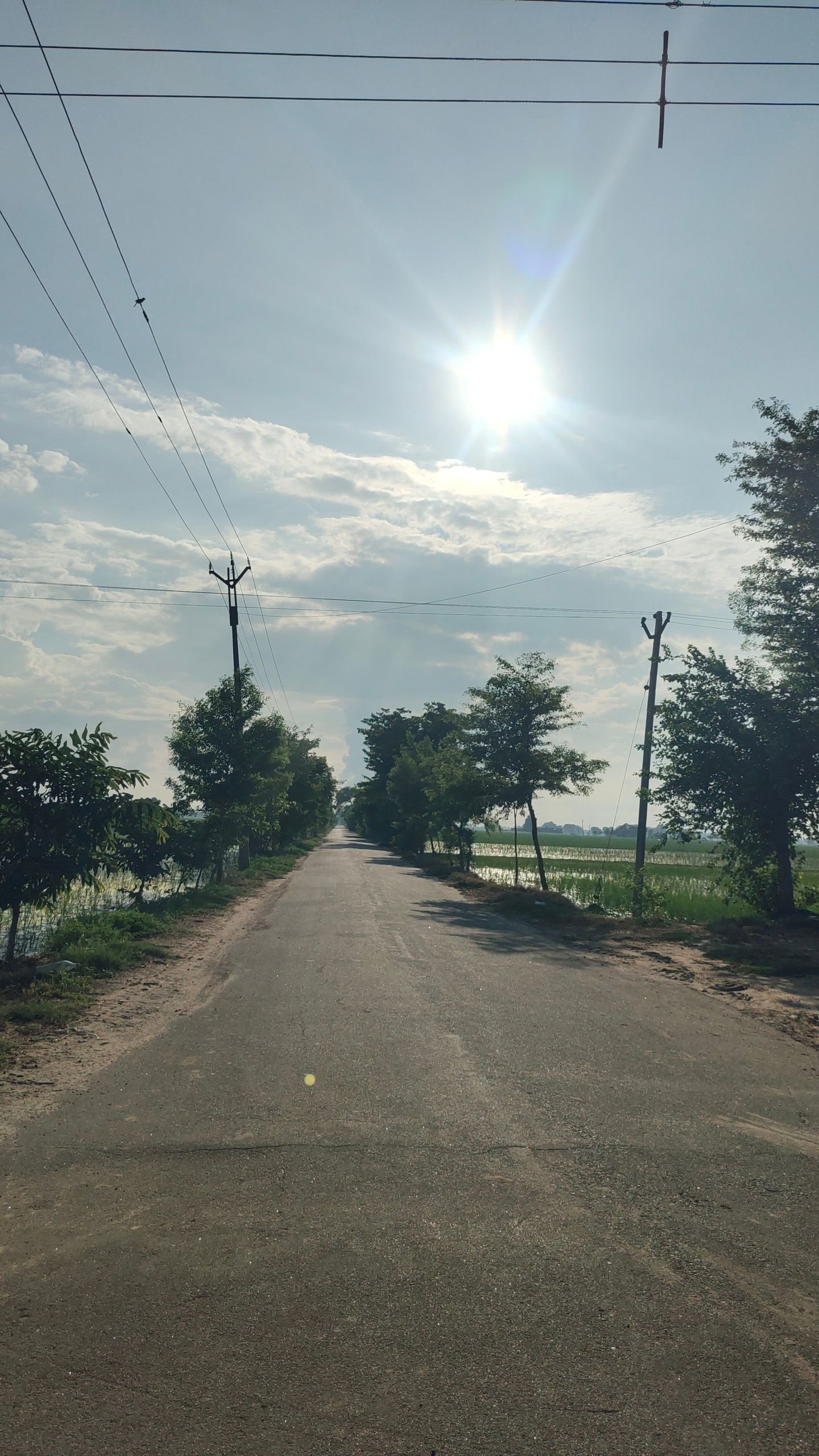 Nature Walks & Quiet Thoughts