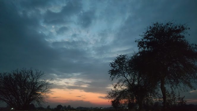 Serenity in Focus: A Journey Through Natural Beauty