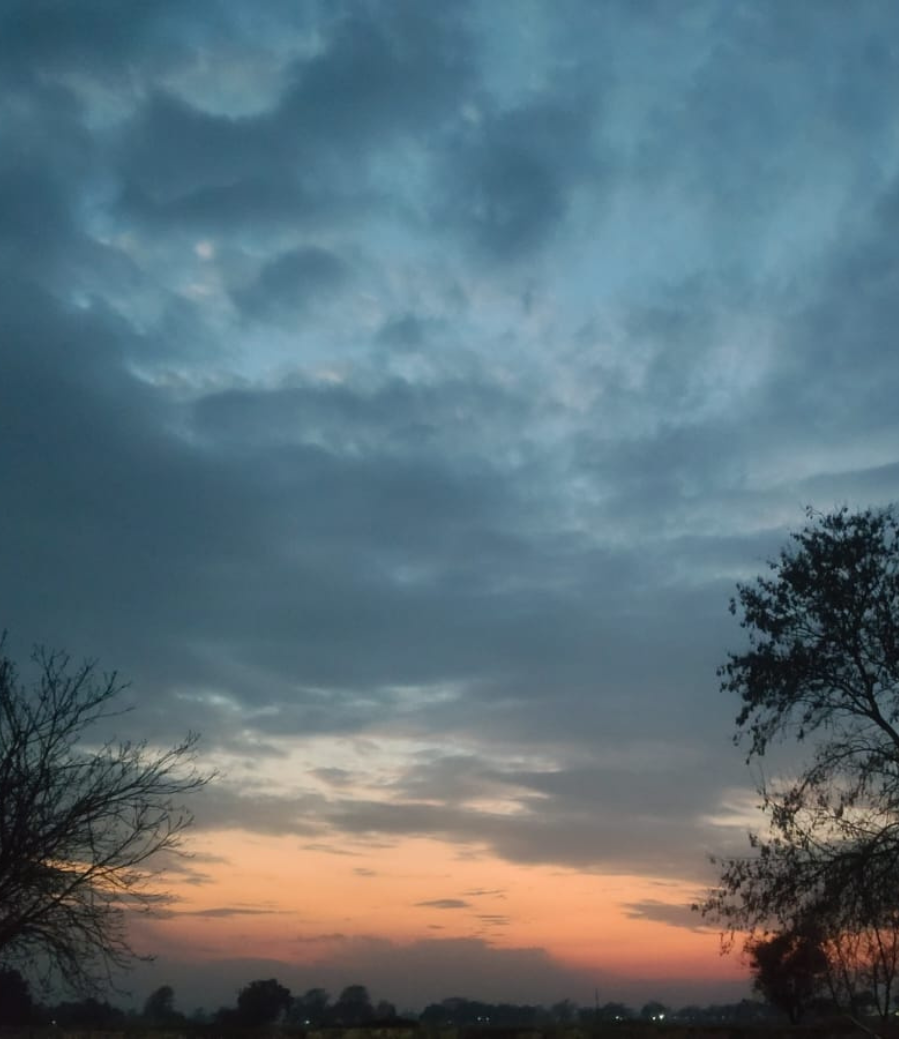 Serenity in Focus: A Journey Through Natural Beauty