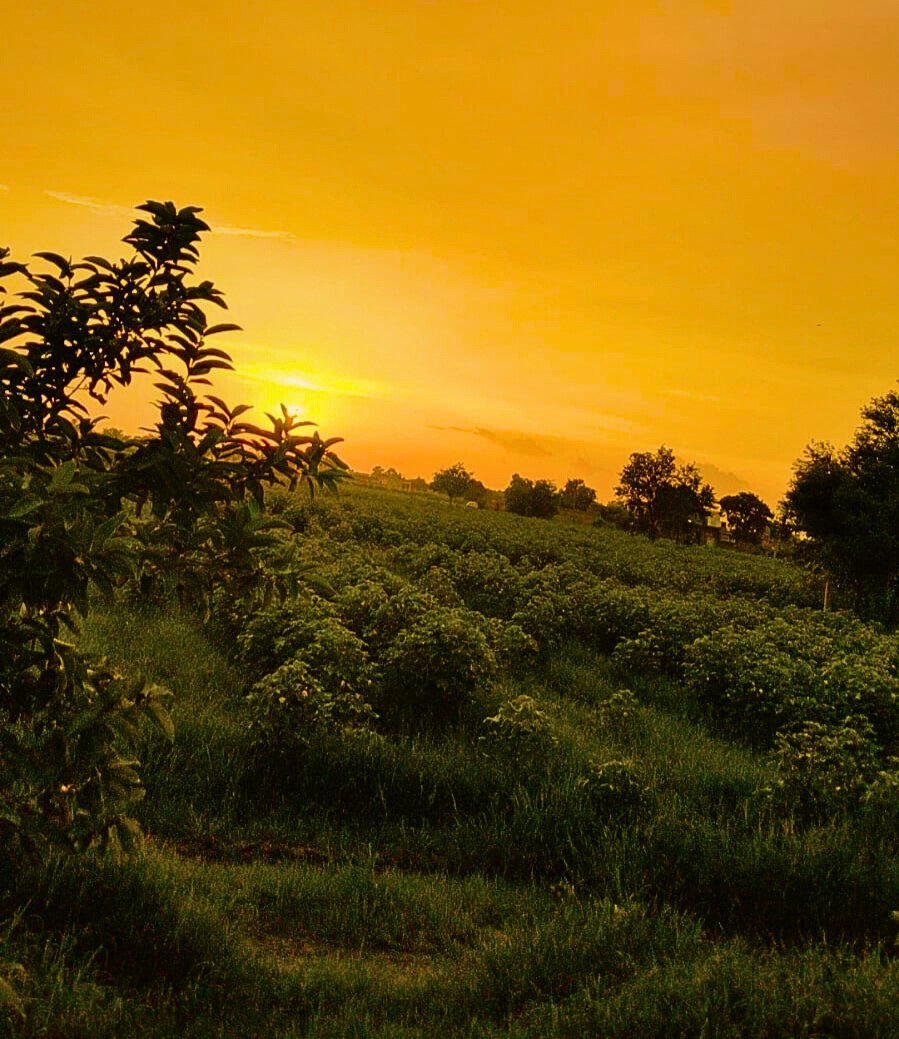 When the Sky Speaks in color: The Magic of a Sunset