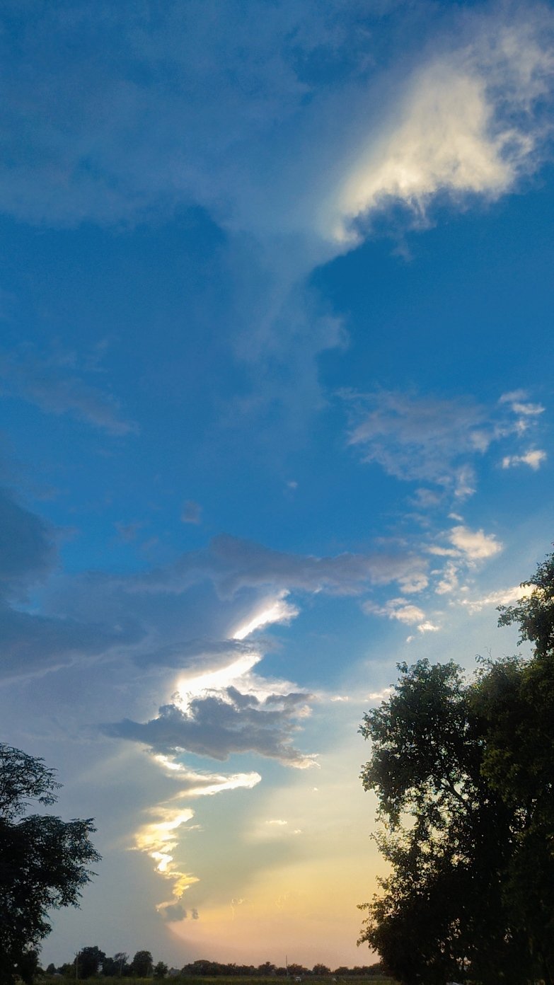 nature through my lens