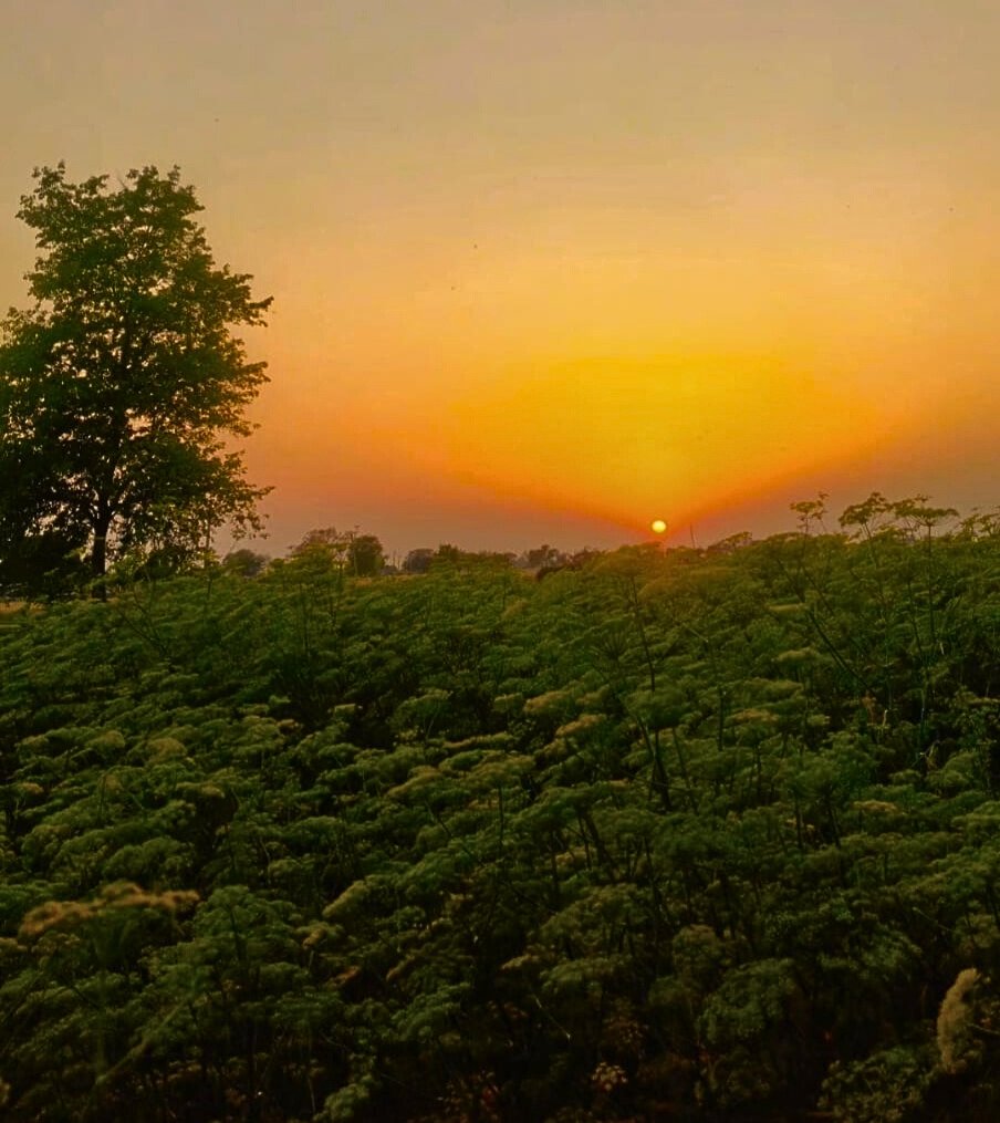 A Journey Through Natural Beauty