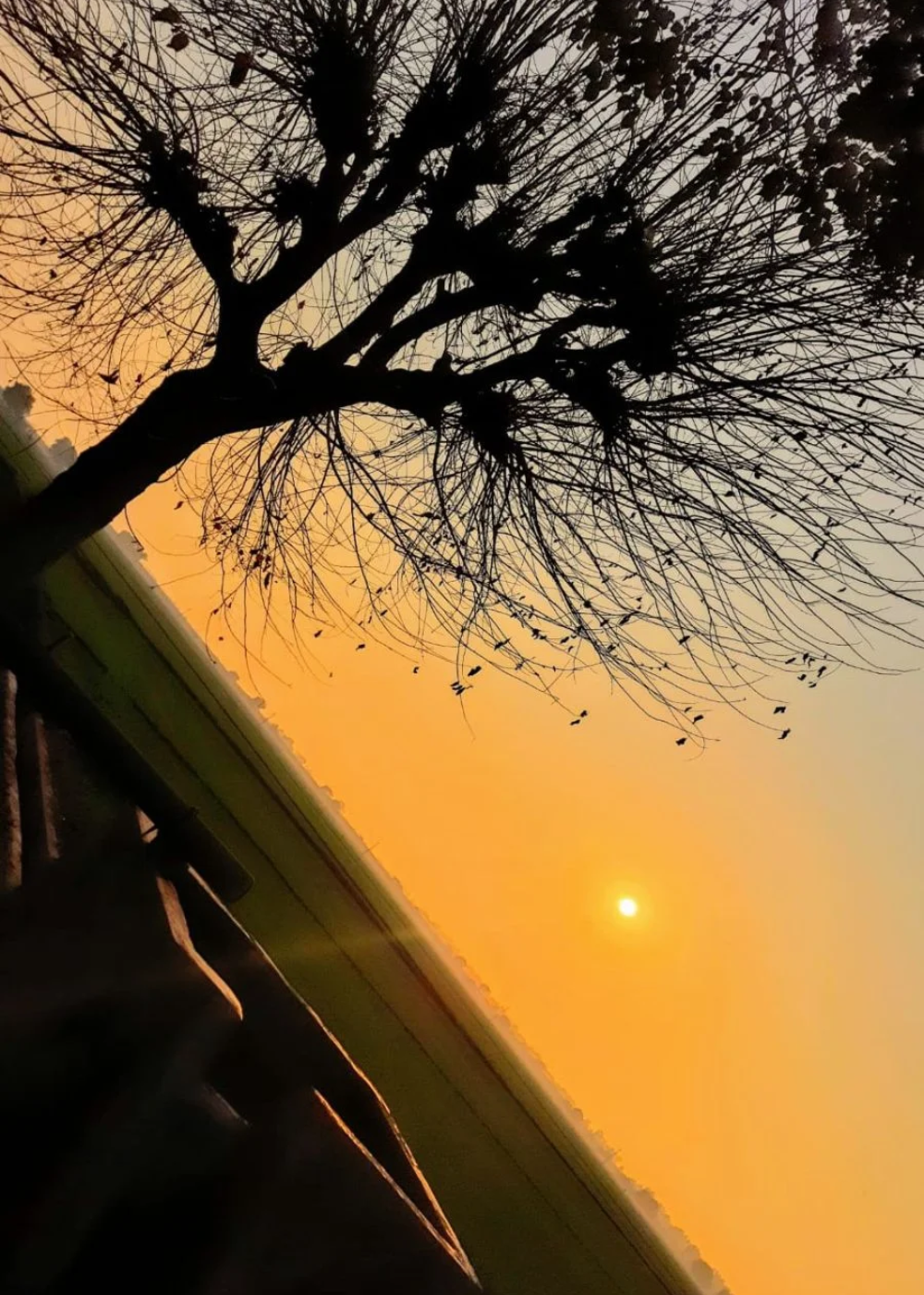 Beauty of sunset