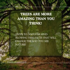 Amazing facts about trees