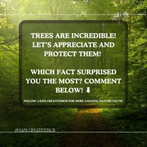 Amazing facts about trees