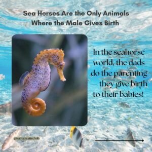 fun facts about aquatic life