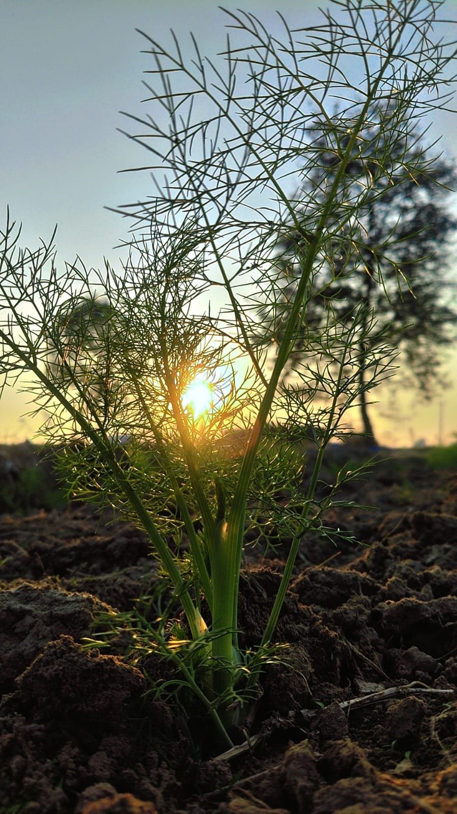 Why I Keep Going Back to Nature With My Camera