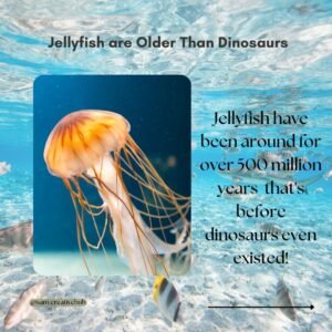 fun facts about aquatic life