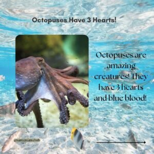 fun facts about aquatic life