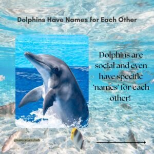 fun facts about aquatic life