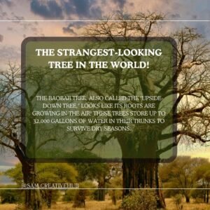 Amazing facts about trees