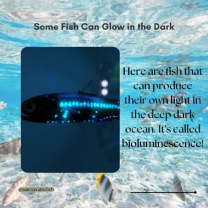 fun facts about aquatic life