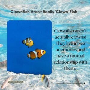 fun facts about aquatic life