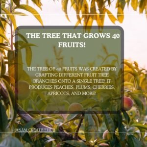 Amazing facts about trees