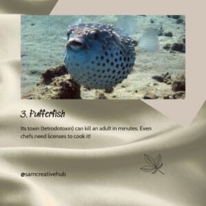 cute but deadly animals